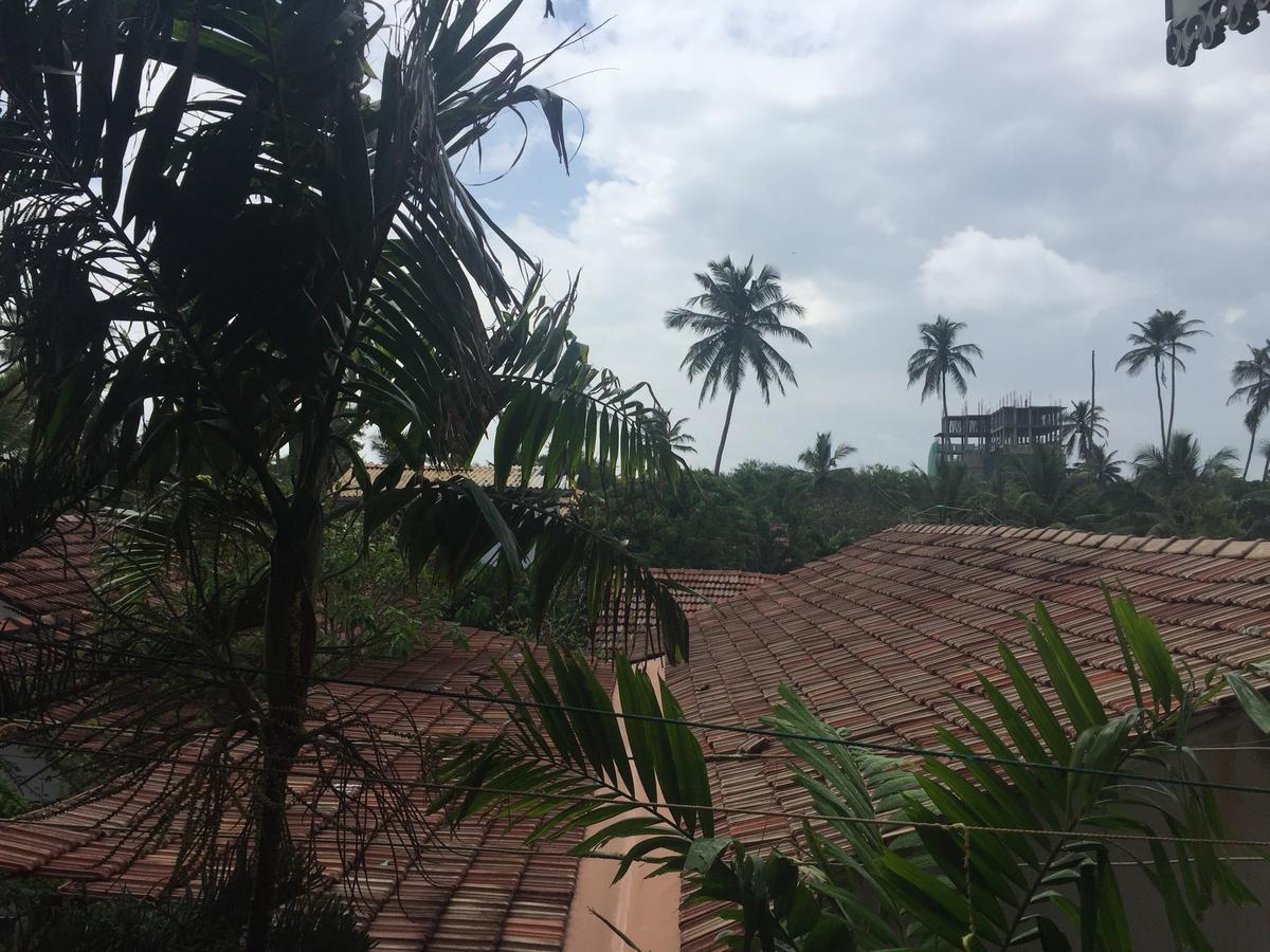 Bee Nest Bed & Breakfast Negombo Ngoại thất bức ảnh