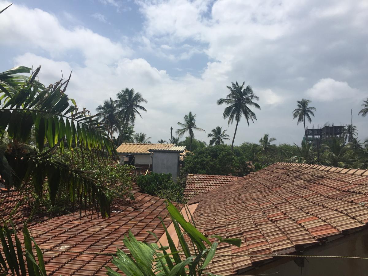 Bee Nest Bed & Breakfast Negombo Ngoại thất bức ảnh